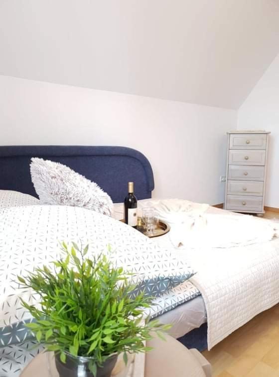 Apartament Dominik Zakopane Eksteriør bilde